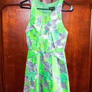 NWOT TopShop Pastel Floral Dress, Green Dress, A-line Dress, Spring Dress